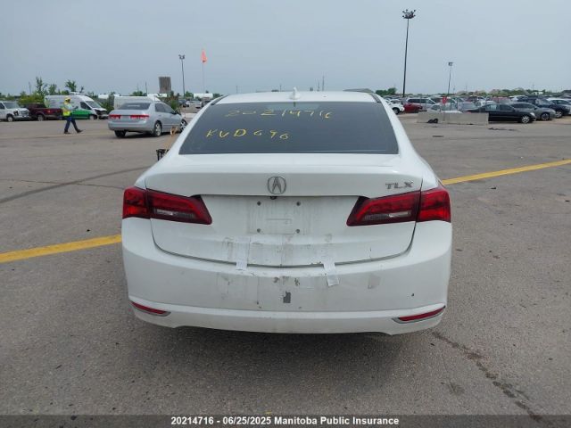 19UUB1F59FA801888 Acura k24w7