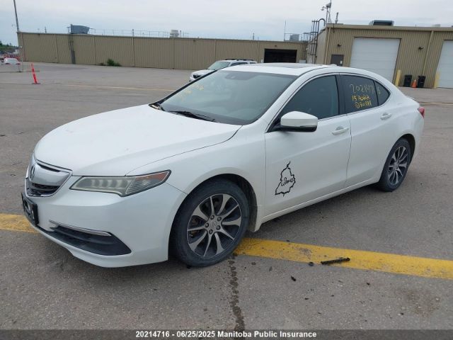 19UUB1F59FA801888 Acura k24w7