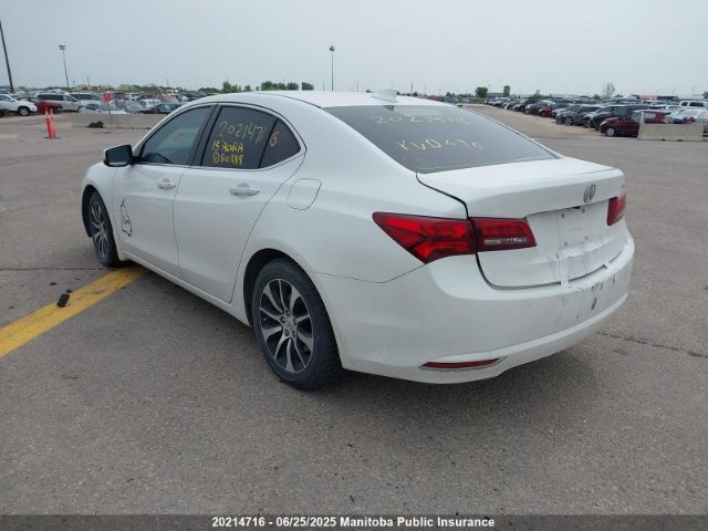 19UUB1F59FA801888 Acura k24w7