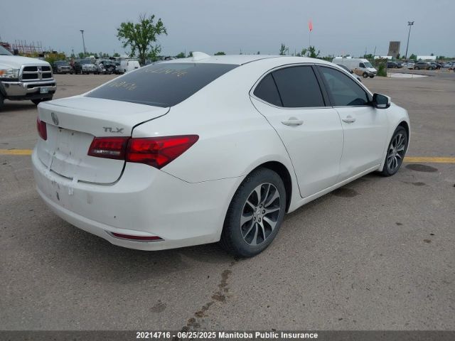 19UUB1F59FA801888 Acura k24w7