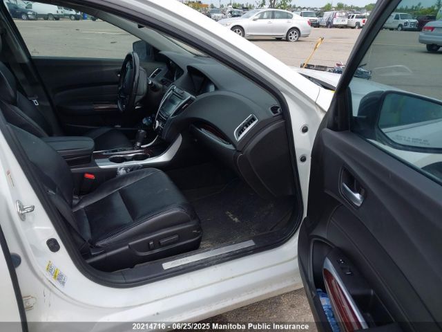 19UUB1F59FA801888 Acura k24w7