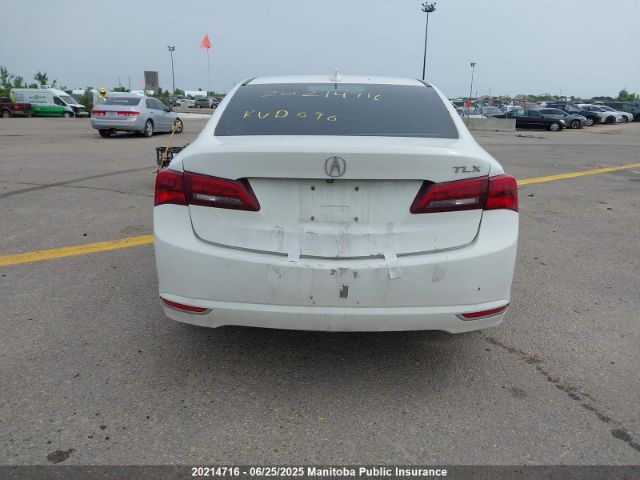 19UUB1F59FA801888 Acura k24w7