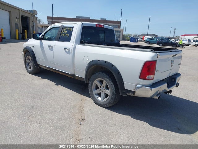 Aukcja sprzedaży 2010 Dodge Ram 1500 Slt Quad Cab, vin: 1D7RV1GT4AS163793, numer aukcji: 20217396