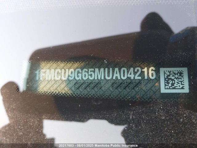 1FMCU9G65MUA04216 Ford dragon di tc