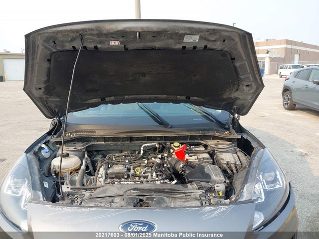 1FMCU9G65MUA04216 Ford dragon di tc