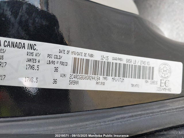 Dodge 2016 2016 2C4RDGBG0GR244164 Image 8