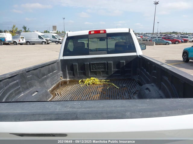 3C6JR7DT8LG294794 Dodge 1500