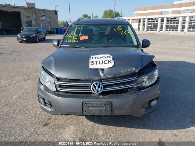 WVGJV3AX9EW568069 Volkswagen Tiguan