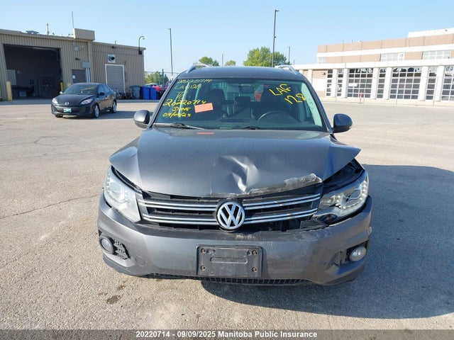 WVGJV3AX9EW568069 Volkswagen Tiguan
