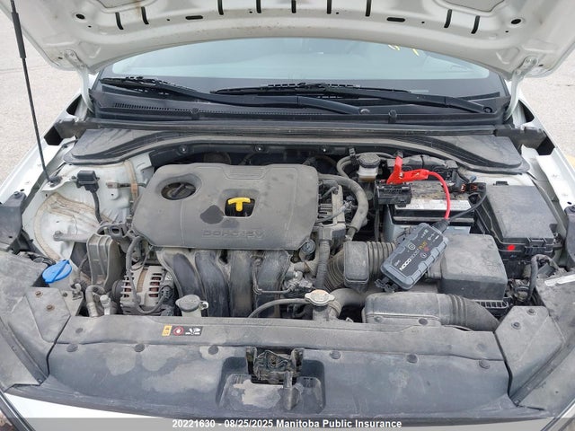 Hyundai mpi nu 2020 KMHD74LF7LU922892 Image 10