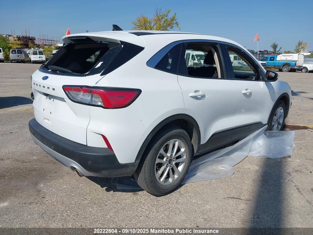 Ford Escape 2020 1FMCU0G66LUC59502 Image 4