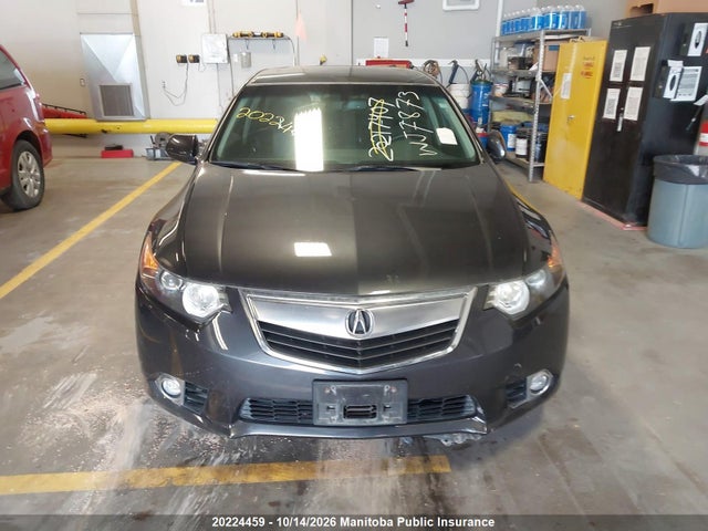 2011 Acura Tsx მანქანა იყიდება აუქციონზე, vin: JH4CU4F69BC800042, აუქციონის ნომერი: 20224459