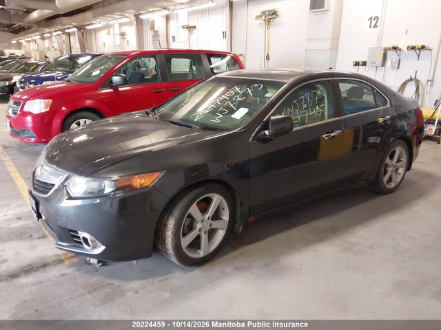 2011 Acura Tsx მანქანა იყიდება აუქციონზე, vin: JH4CU4F69BC800042, აუქციონის ნომერი: 20224459