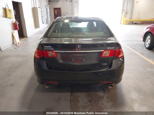 2011 Acura Tsx მანქანა იყიდება აუქციონზე, vin: JH4CU4F69BC800042, აუქციონის ნომერი: 20224459