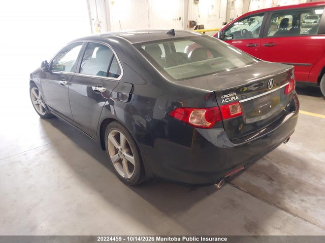 2011 Acura Tsx მანქანა იყიდება აუქციონზე, vin: JH4CU4F69BC800042, აუქციონის ნომერი: 20224459