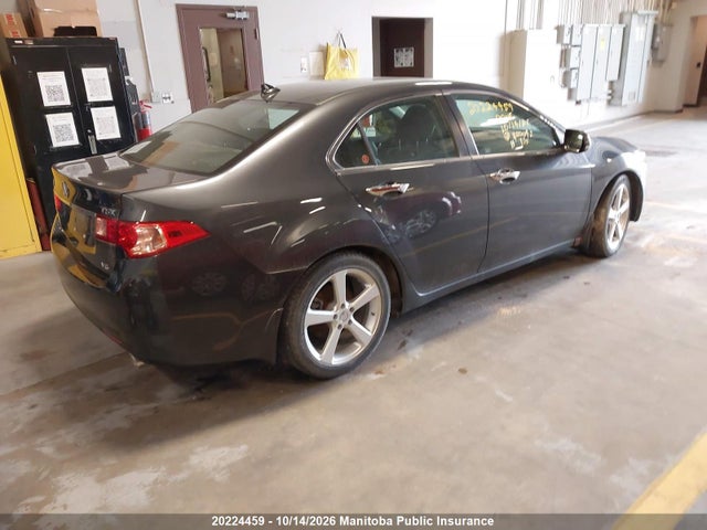 2011 Acura Tsx მანქანა იყიდება აუქციონზე, vin: JH4CU4F69BC800042, აუქციონის ნომერი: 20224459