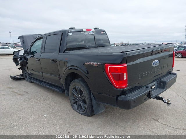 20225488 :رقم المزاد ، 1FTFW1ED6PFD15158 vin ، 2023 Ford F150 Xlt Hybrid Supercrew مزاد بيع