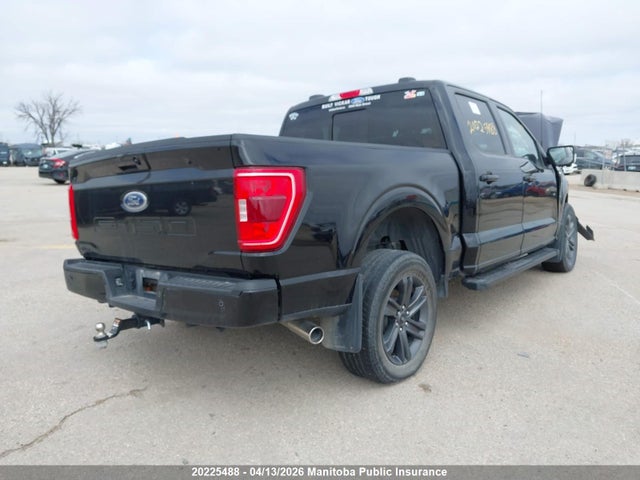 20225488 :رقم المزاد ، 1FTFW1ED6PFD15158 vin ، 2023 Ford F150 Xlt Hybrid Supercrew مزاد بيع