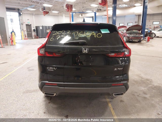 2HKRS6H71TH206117 Honda CR-V