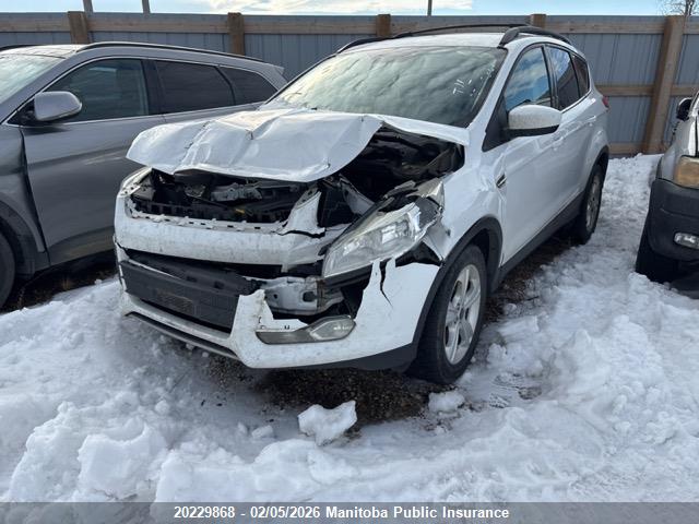 1FMCU9G94GUA56628 Ford ESCAPE SE