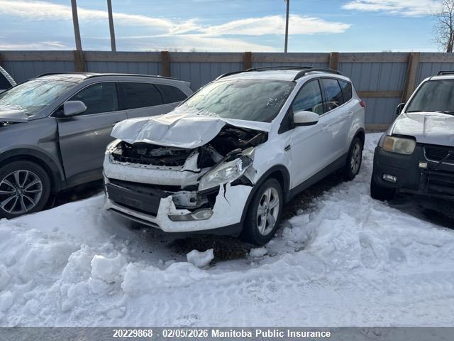 1FMCU9G94GUA56628 Ford ESCAPE SE