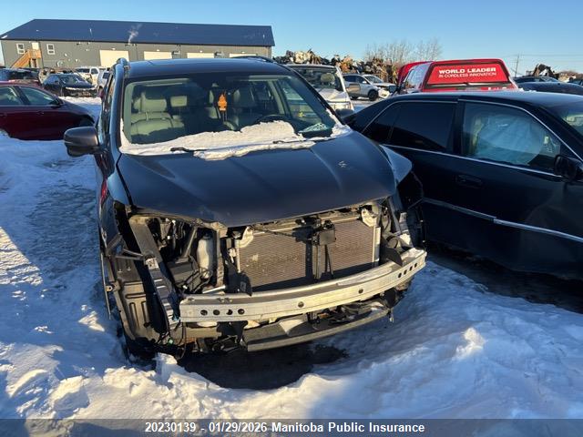 5FNYF6H8XGB503853 Honda Pilot Ex-l