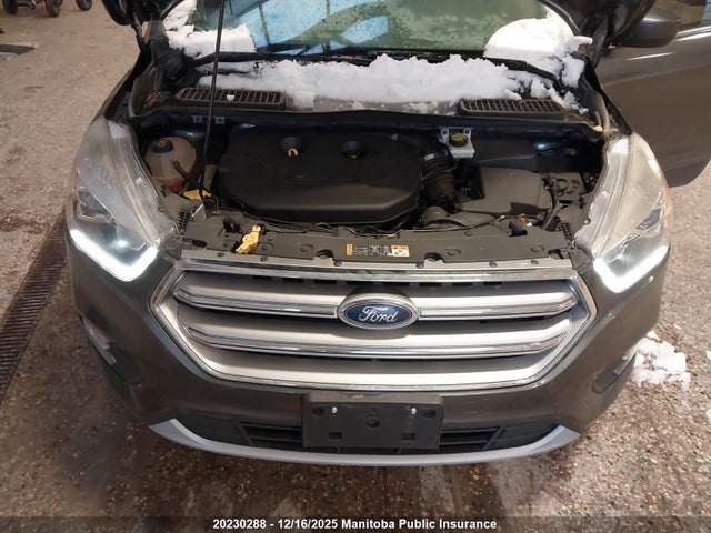 1FMCU9G98HUC82625 Ford Escape