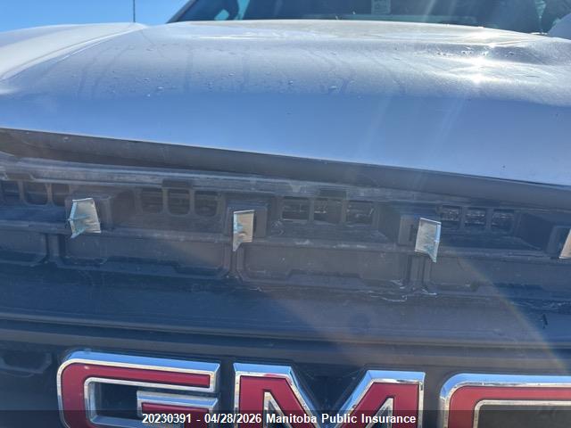 Aukcja sprzedaży 2019 Gmc Sierra 1500 Double Cab, vin: 1GTR9AEF1KZ268084, numer aukcji: 20230391