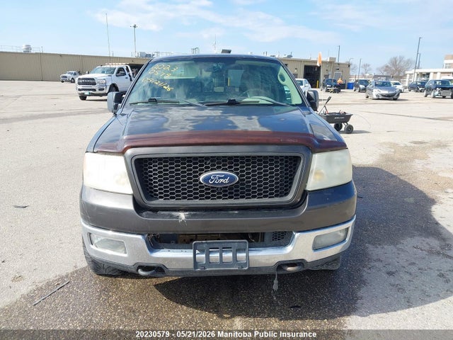 Aukcja sprzedaży 2005 Ford F150 Xlt Supercab, vin: 1FTPX14575KC47713, numer aukcji: 20230579