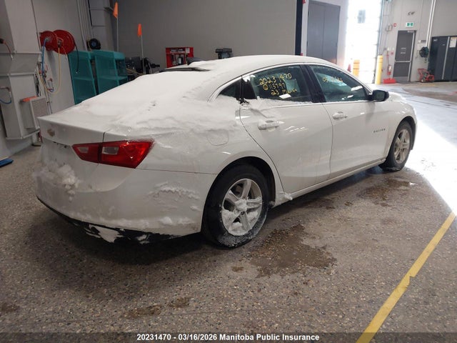 1G1ZB5ST9PF115797 Chevrolet MALIBU LS
