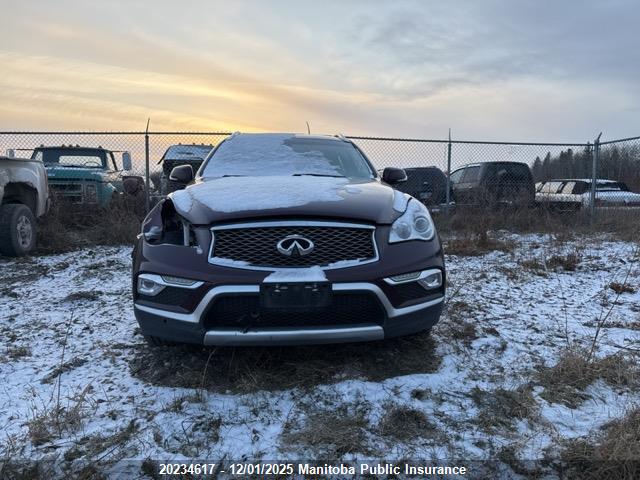 JN1BJ0RR4GM268854 Infiniti QX50