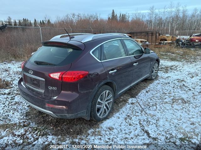 JN1BJ0RR4GM268854 Infiniti QX50