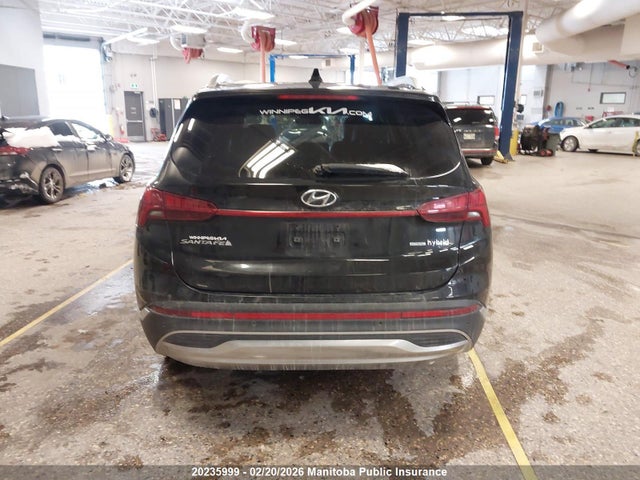 KM8S5DA17MU003559 Hyundai Santa Fe Luxury Hybrid