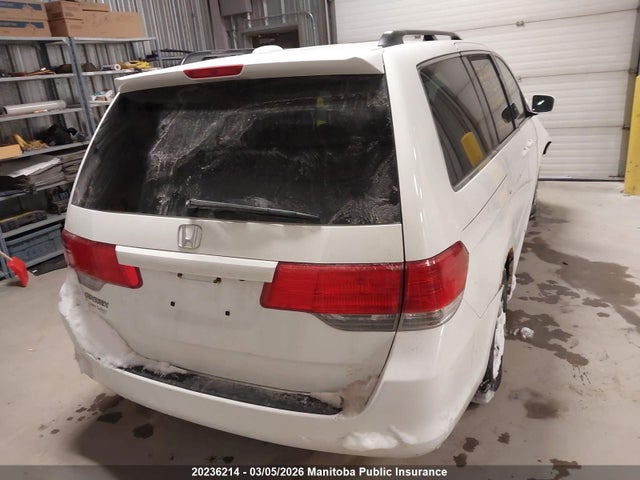 Продаж на аукціоні авто 2008 Honda Odyssey Ex-l, vin: 5FNRL386X8B503296, номер лоту: 20236214