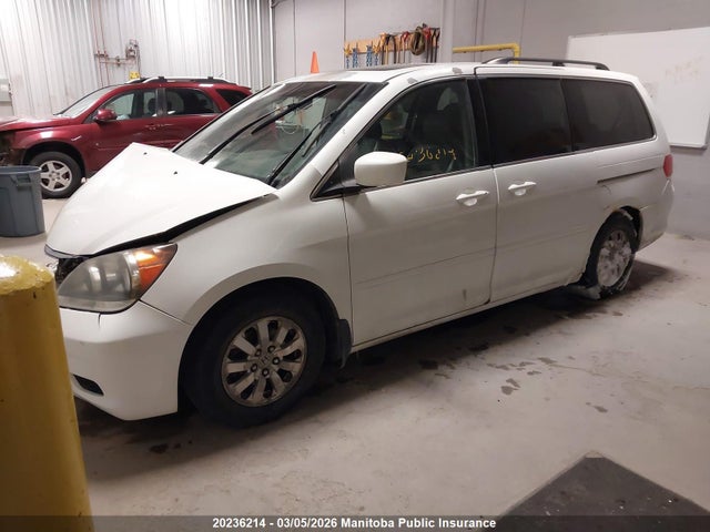 Продаж на аукціоні авто 2008 Honda Odyssey Ex-l, vin: 5FNRL386X8B503296, номер лоту: 20236214