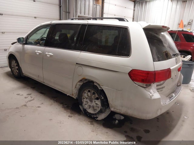Продаж на аукціоні авто 2008 Honda Odyssey Ex-l, vin: 5FNRL386X8B503296, номер лоту: 20236214