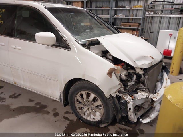 Продаж на аукціоні авто 2008 Honda Odyssey Ex-l, vin: 5FNRL386X8B503296, номер лоту: 20236214