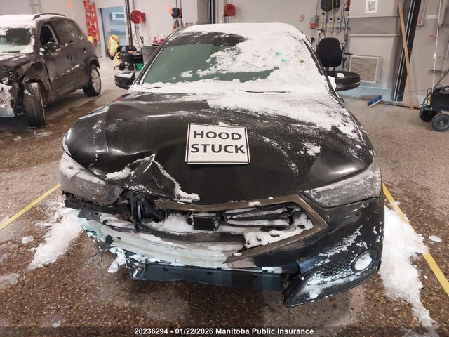 19UUB3F66KA802284 Acura Tlx V6
