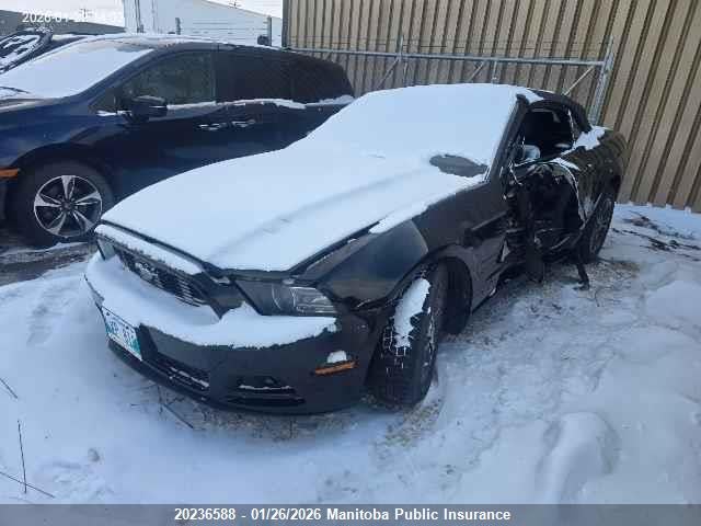 1ZVBP8EM2E5307773 Ford Mustang