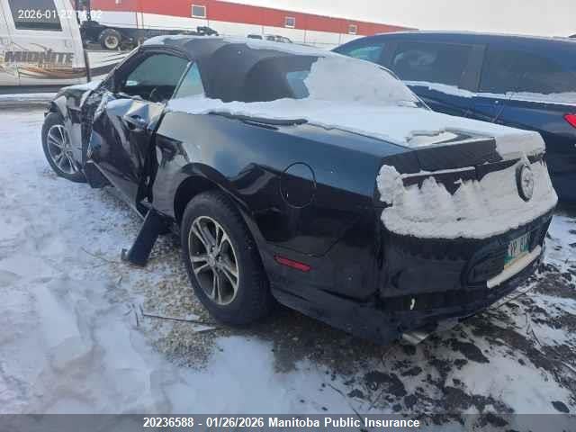 1ZVBP8EM2E5307773 Ford Mustang