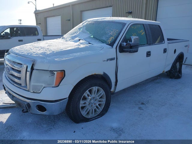 2012 Ford F-series მანქანა იყიდება აუქციონზე, vin: 1FTFW1EF8CFA49248, აუქციონის ნომერი: 20236890
