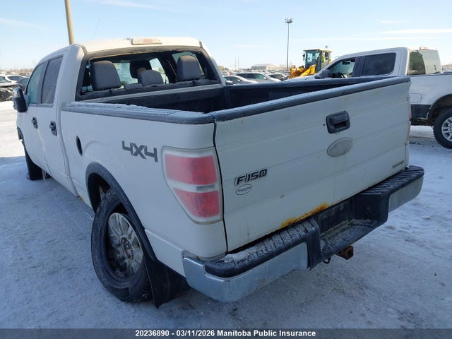 2012 Ford F-series მანქანა იყიდება აუქციონზე, vin: 1FTFW1EF8CFA49248, აუქციონის ნომერი: 20236890