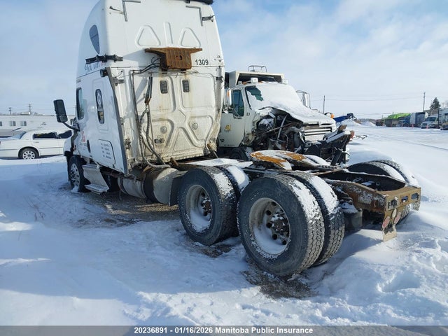 1FUJGLD52GLGY9146 Freightliner Cascadia 125