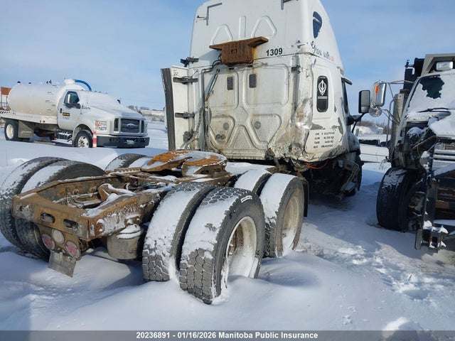 1FUJGLD52GLGY9146 Freightliner Cascadia 125