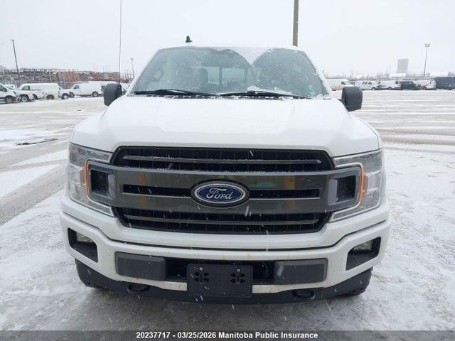 2019 Ford F150 Xlt Supercrew მანქანა იყიდება აუქციონზე, vin: 1FTFW1E45KFB52737, აუქციონის ნომერი: 20237717