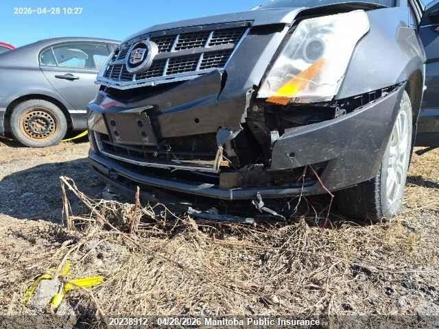 Продаж на аукціоні авто 2010 Cadillac Srx V6, vin: 3GYFNDEY6AS629221, номер лоту: 20238912