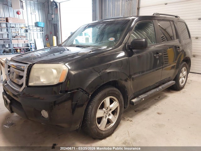 Продажа на аукционе авто 2011 Honda Pilot Ex, vin: 5FNYF4H40BB505380, номер лота: 20240671