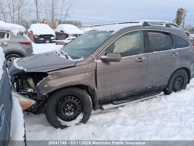 Auction sale of the 2009 Honda Cr-v Ex-l, vin: 5J6RE48709L809859, lot number: 20241749