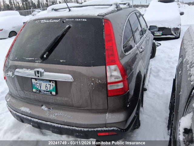 Auction sale of the 2009 Honda Cr-v Ex-l, vin: 5J6RE48709L809859, lot number: 20241749