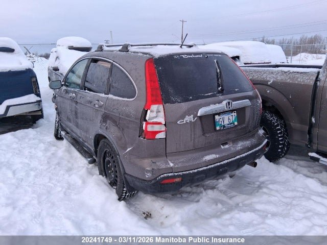 Auction sale of the 2009 Honda Cr-v Ex-l, vin: 5J6RE48709L809859, lot number: 20241749